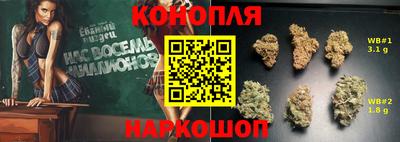 индика Чебоксары