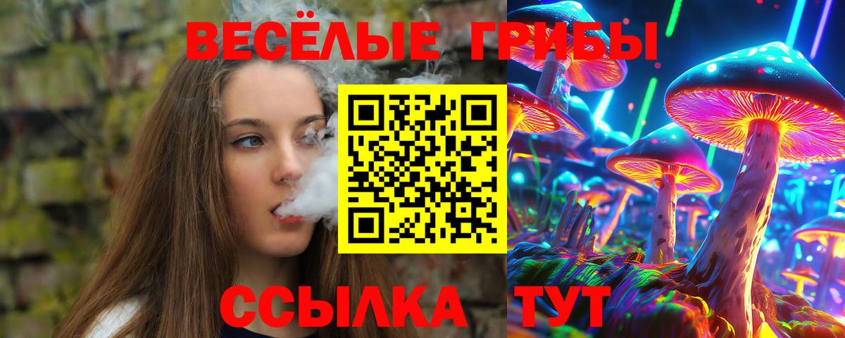 Псилоцибиновые грибы мицелий  Галлюциногенные грибы Magic Shrooms  Выкса  купить   Вход с VPN 